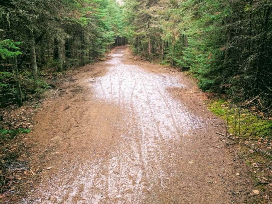 View of trail after it was stabilized and flattened