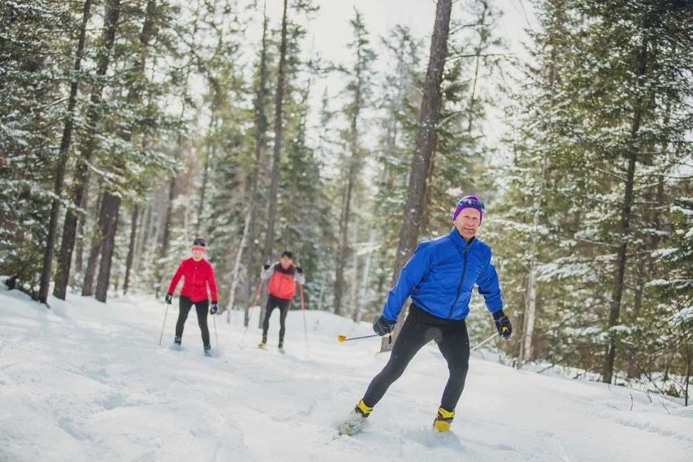 Three people skiing through a snowy forest