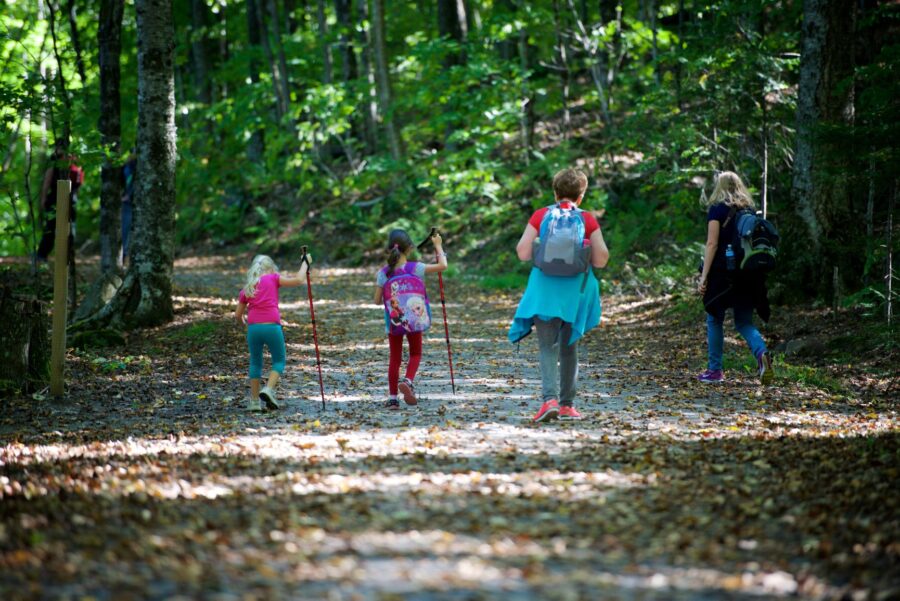 Children and adult hiking in the forest