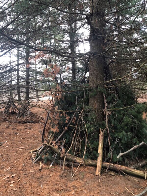 Stick fort built using branches, logs and sticks