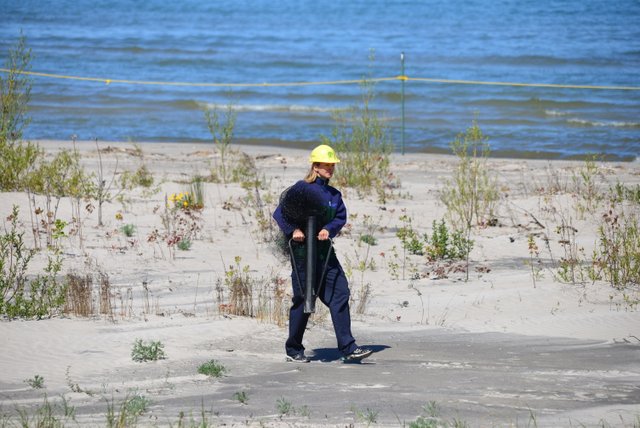 scientist carrying post pounder on beach