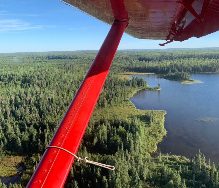 view of forest from plane