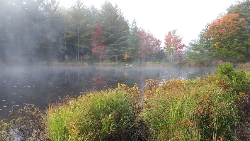 Morning fog.