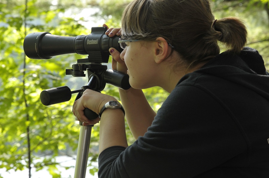 Person looking for birds.