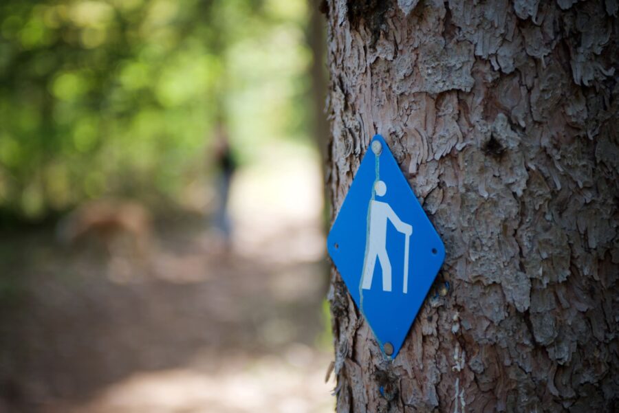 Hiking trail marker on tree in forest