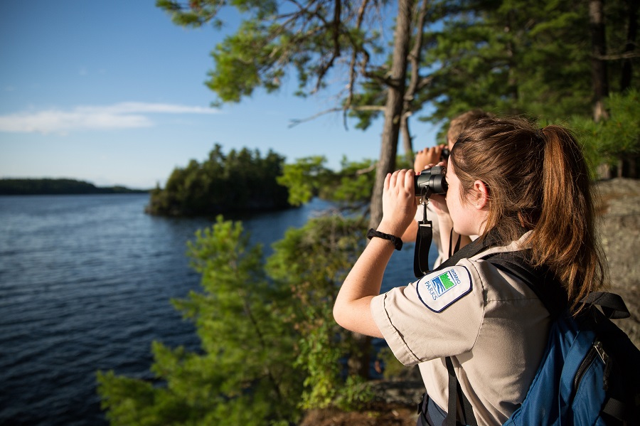 Parks staff looking for birds.