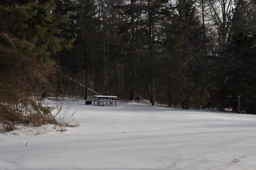 camp site in forest covered in snow