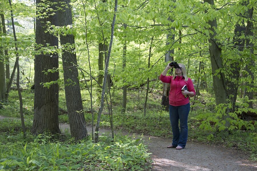 Woman looking through binoculars on a trail.