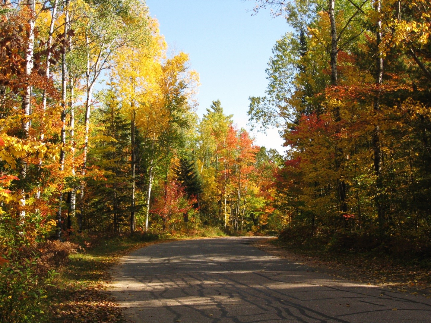 Fall colours.