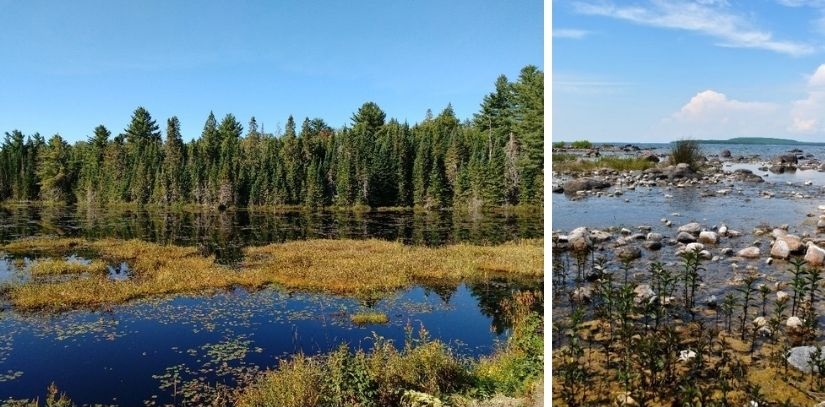 Two photos of scenery.