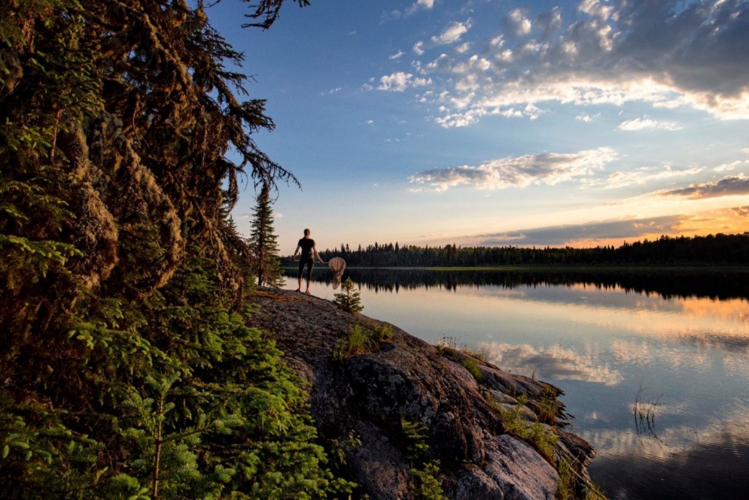 A person holding a butterfly net on the side of the lake at sunset.