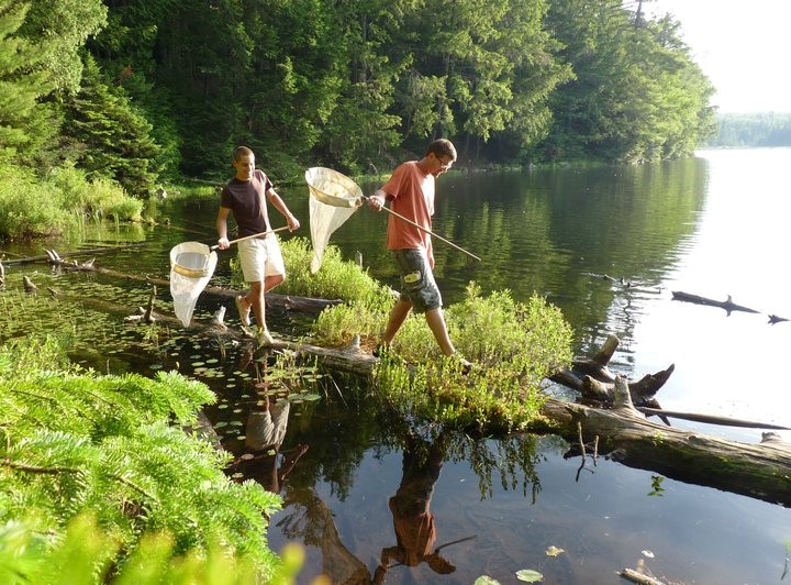 People on a boardwalk looking for dragonflies.