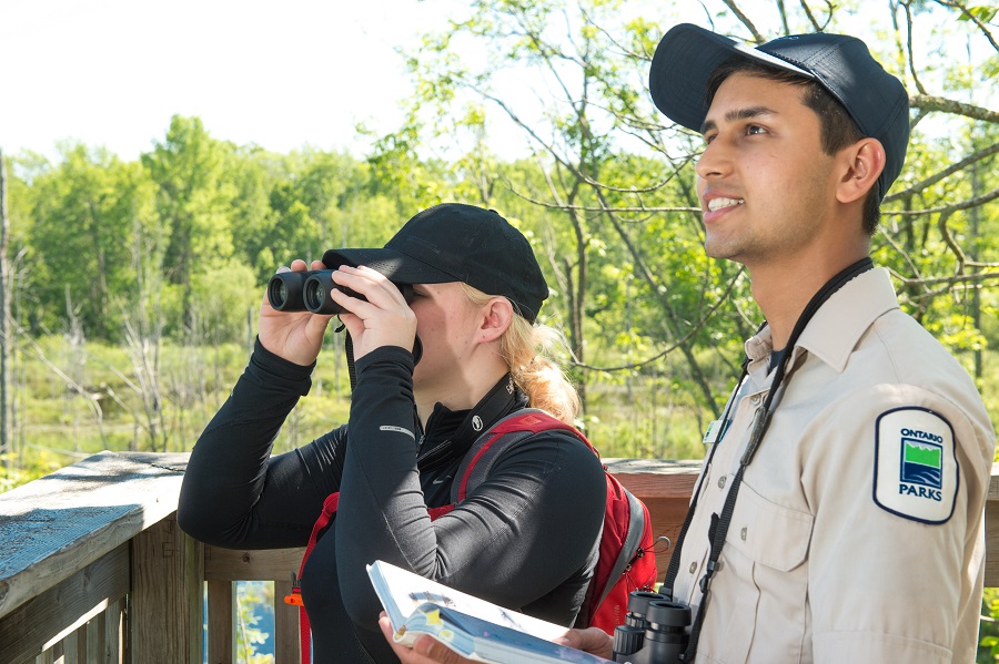 Two people birding at MacGregor Point. One looks through binoculars, the other, looks to the sky.