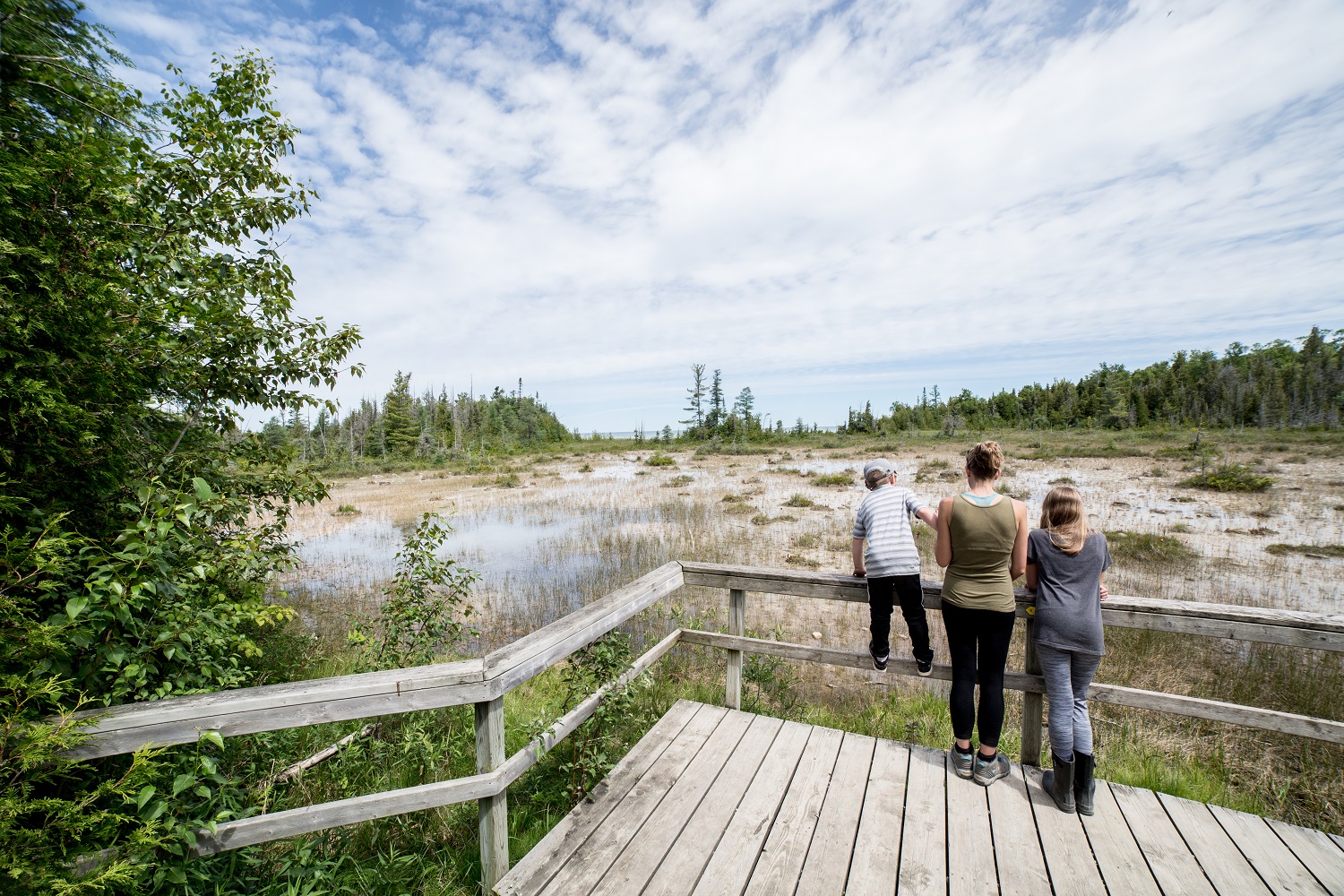 3 hikers on trail lookout platform over wetland