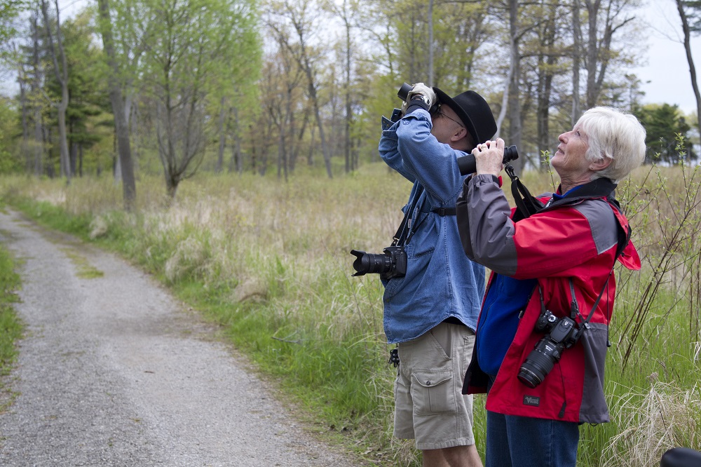 senior couple birding