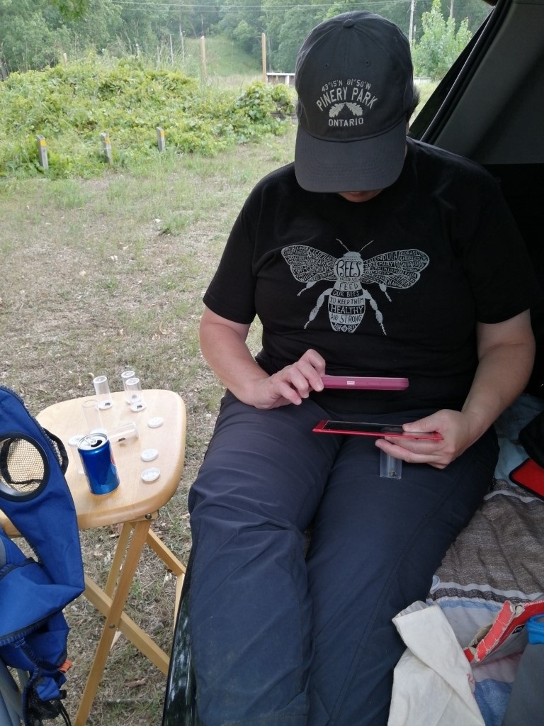 Person sitting in the trunk of an SUV looking at their phone.