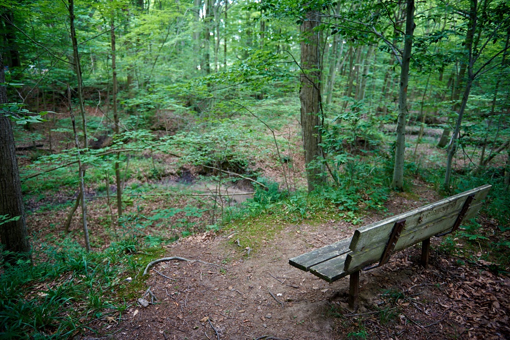 Trail Lookout