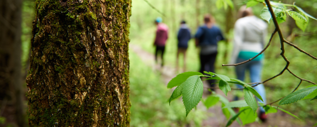 Four people hiking on a trail