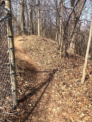 A trail made around a fence.