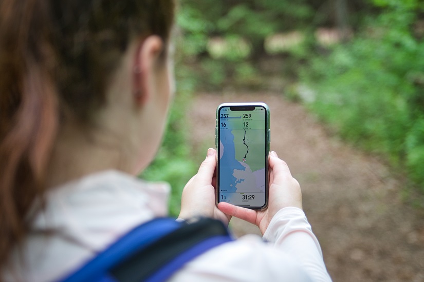 A visitor at Emily Provincial Park mapping their hike through the trails. 