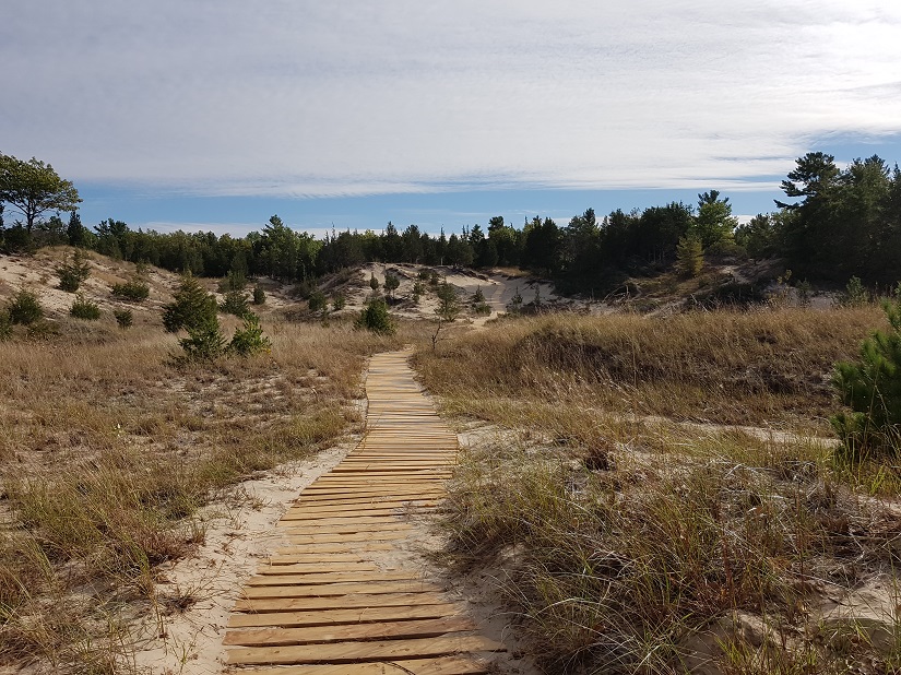 A boardwalk through a sandy grassy area.