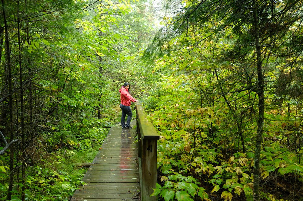 person hiking on wet boardwalk