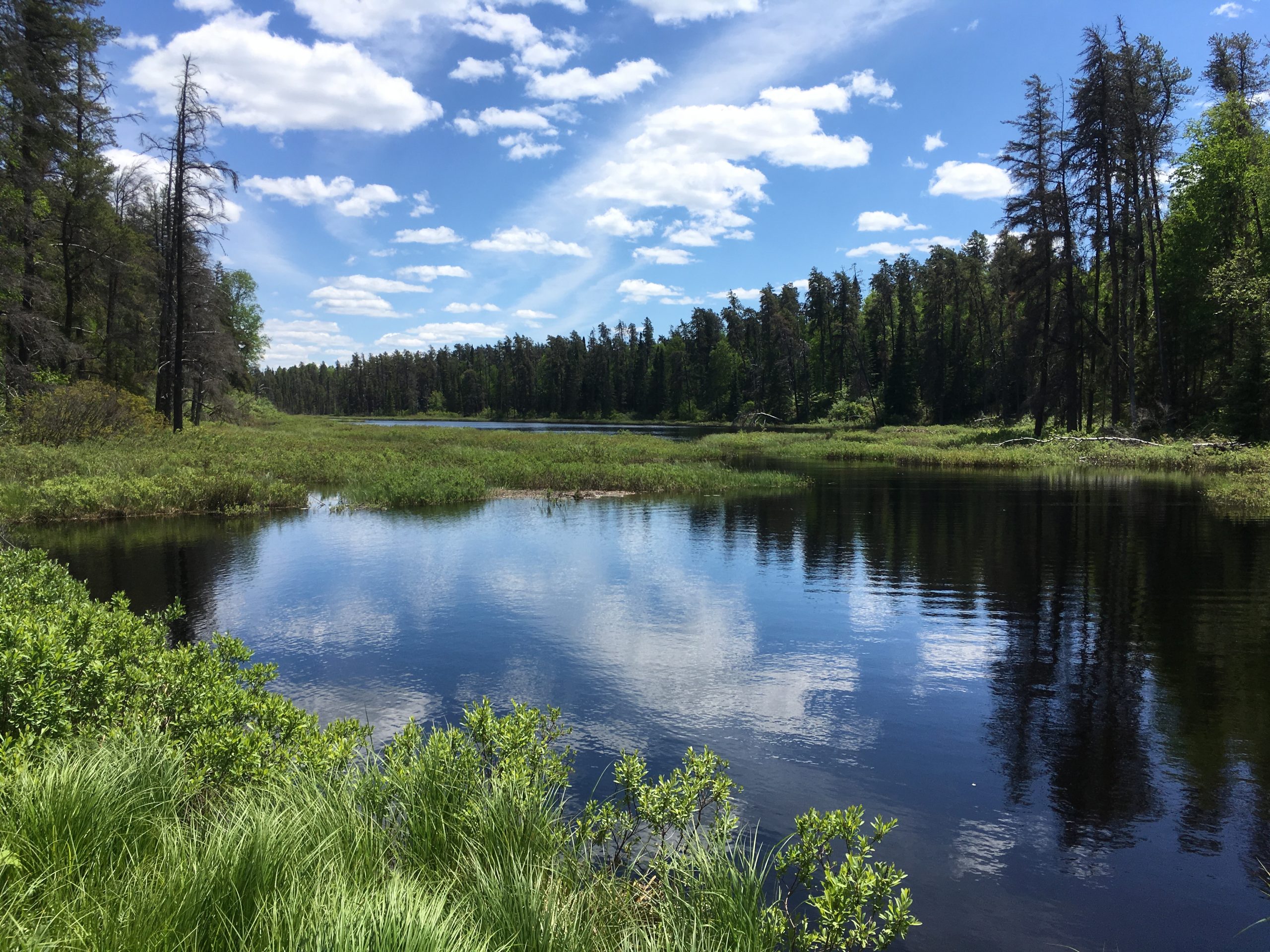 A blue sky with fluffy white clouds reflecting on a small lake, surrounded by greenery and trees