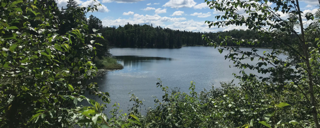 view of lake surrounded by forest through space in trees
