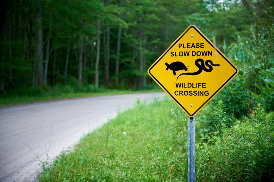 wildlife crossing sign