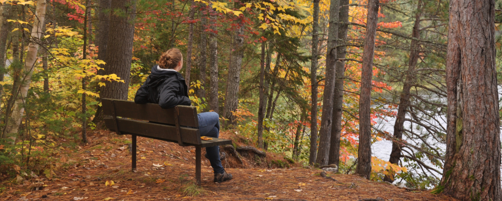 Enjoying the Fall on the Amable du Fond, Samuel de Champlain