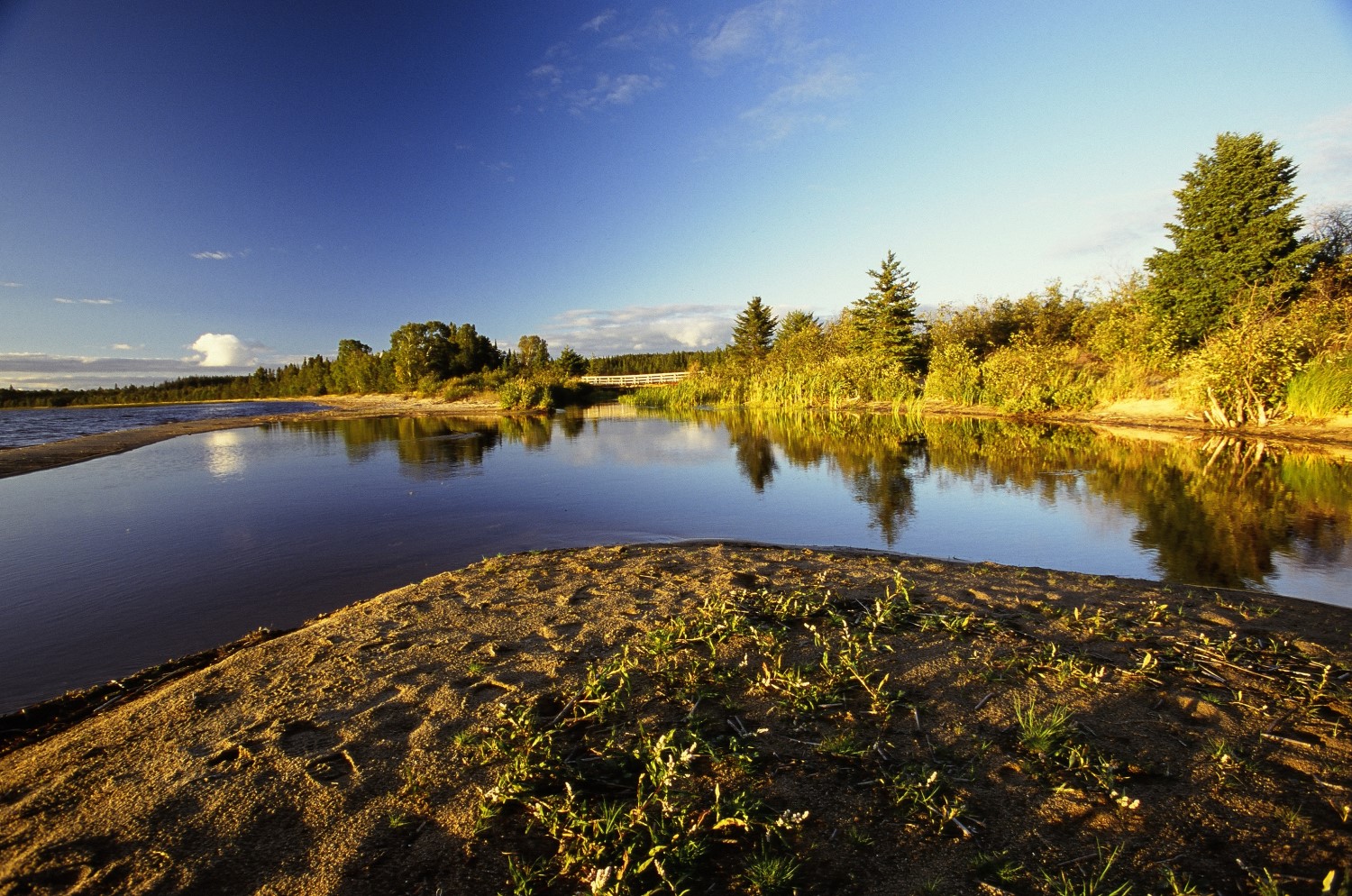 A sandy beach jutting into water across from a forested coast.