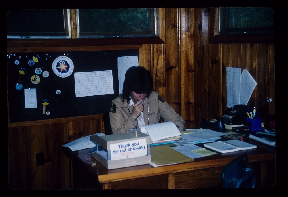 staff at desk