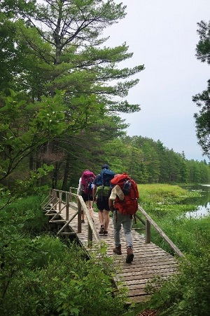 people hiking