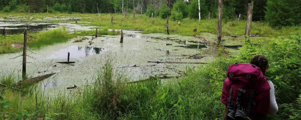 hiker standing in front of pond