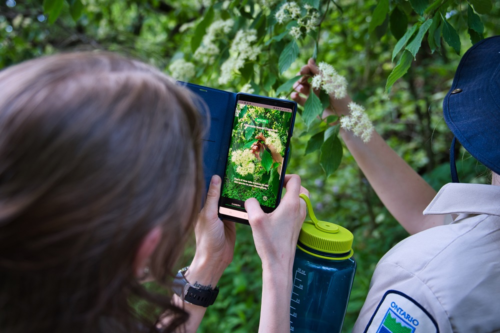 staff using phone for identification