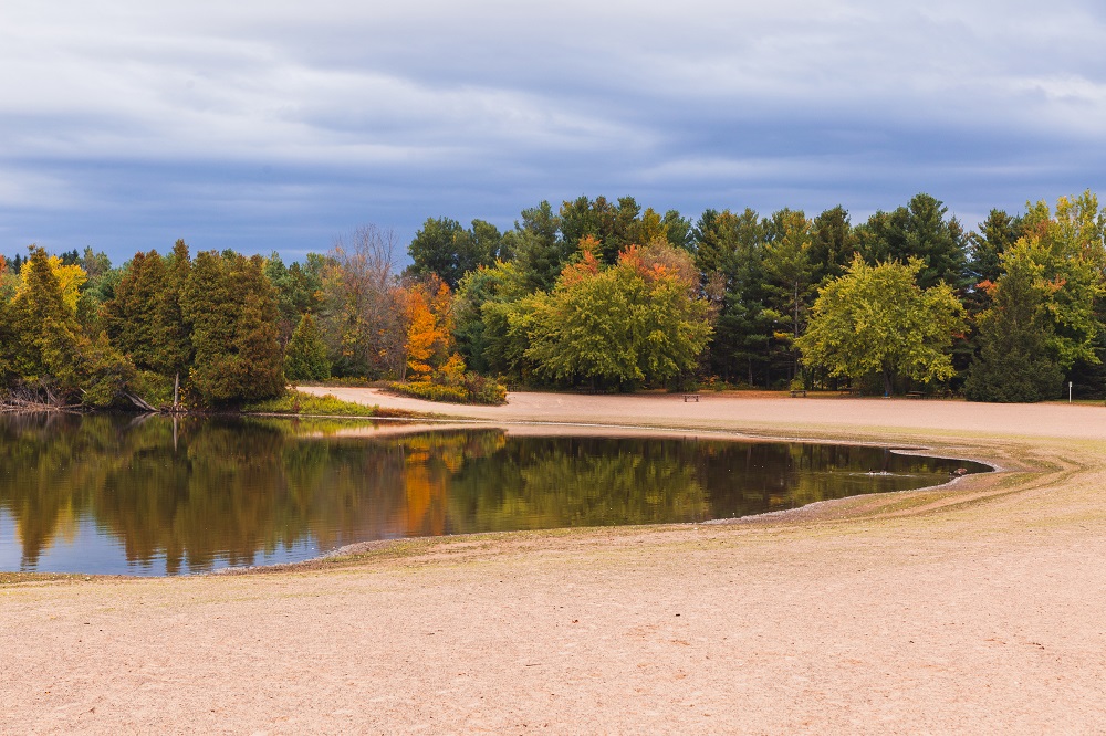 beach surrounded by fall colours