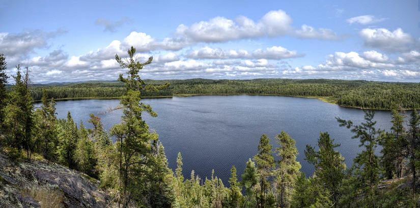 Lookout over a lake with trees.