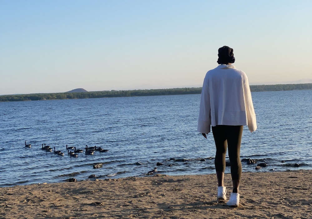 person standing on shore looking out to water with ducks