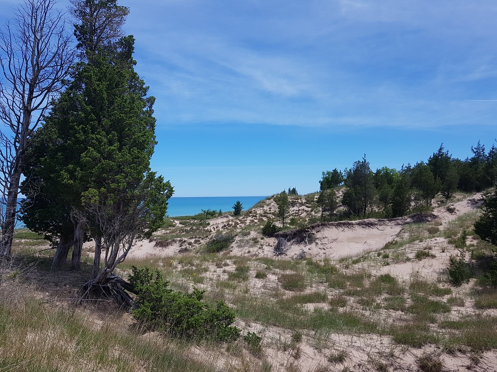 sand dunes