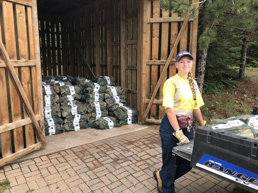 Staff member unloading firewood.