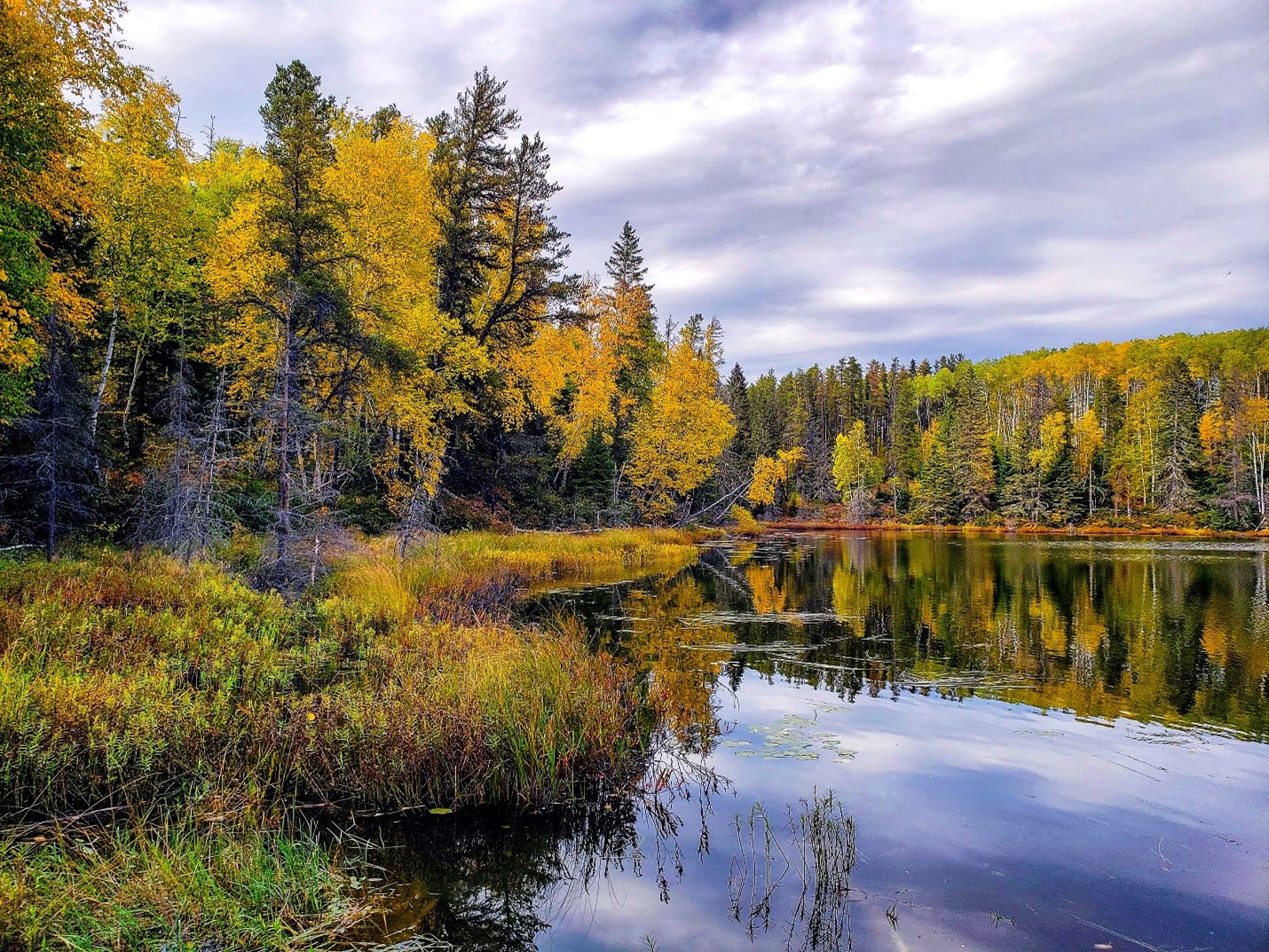 fall colours around lake