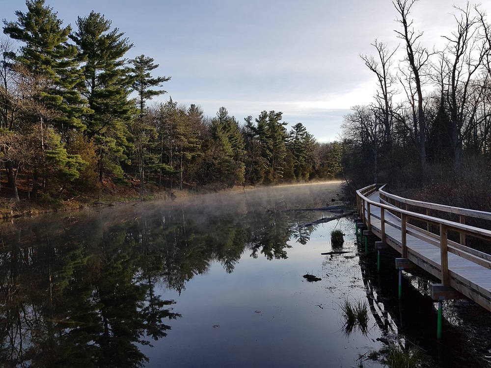 boardwalk beside river