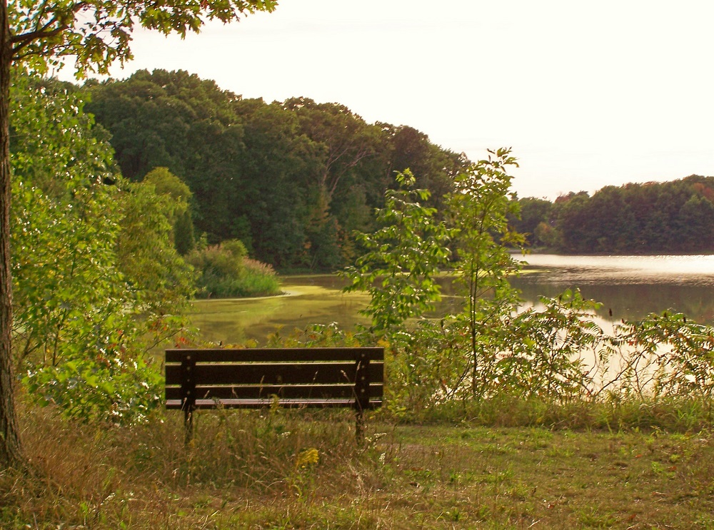 bench overlooking lake