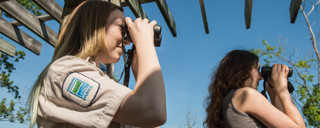 2 people birding