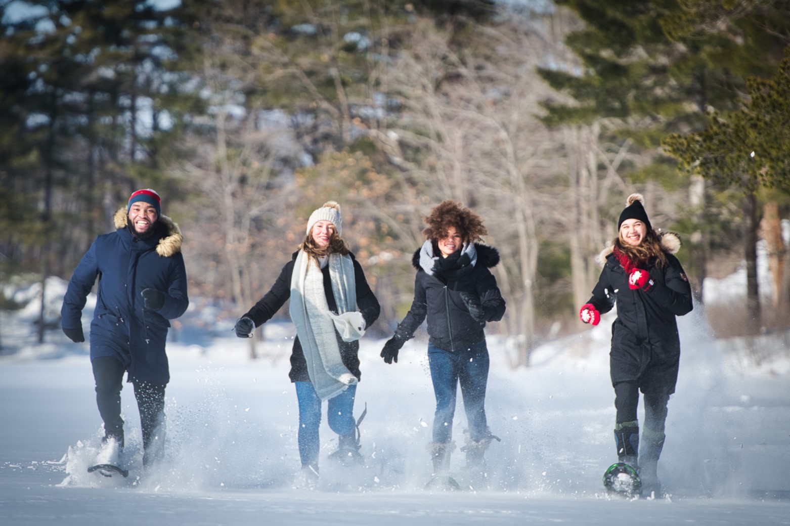 Four people snowshoeing