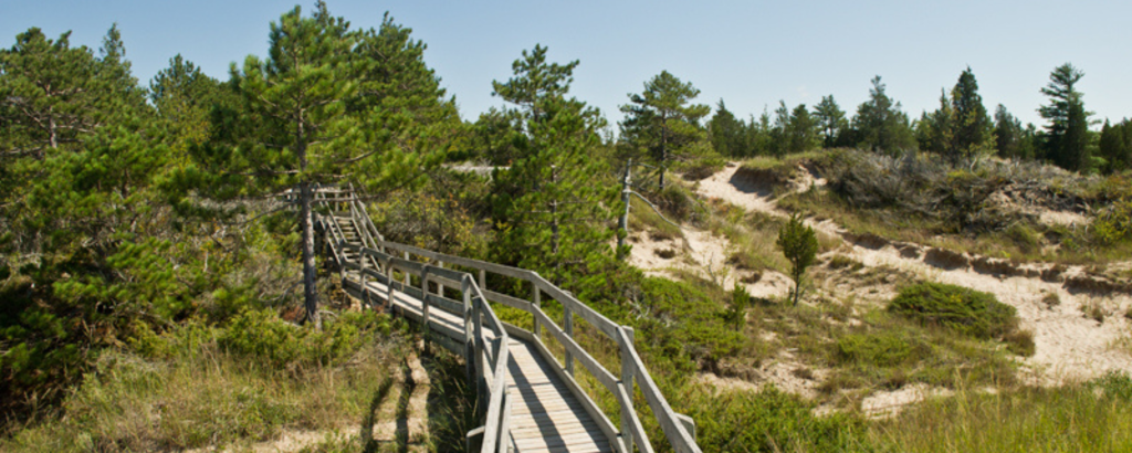 boardwalk trail