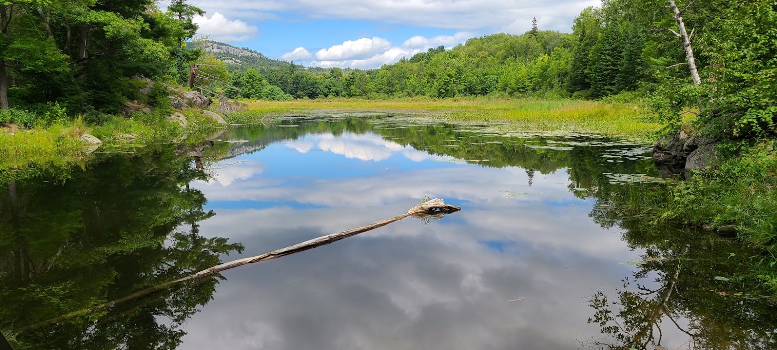 landscape of lake