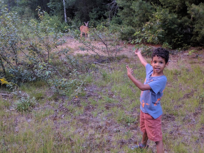 boy pointing towards landscape in forest