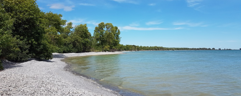Rocky beach on a sunny day