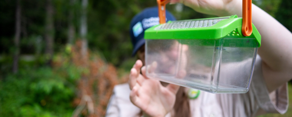 Discovery Staff member holding an insect observation box